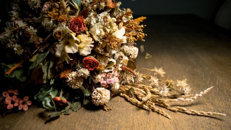 Fleurs sechees, une decoration intemporelle pour votre maison